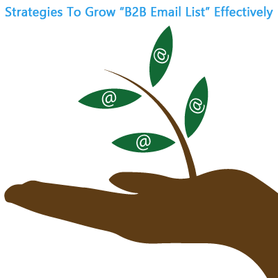 Strategies To Grow B2b Email List Effectively