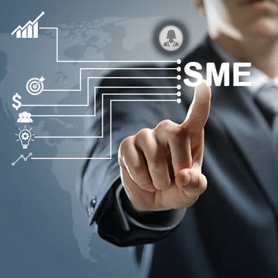 Small and Medium Business