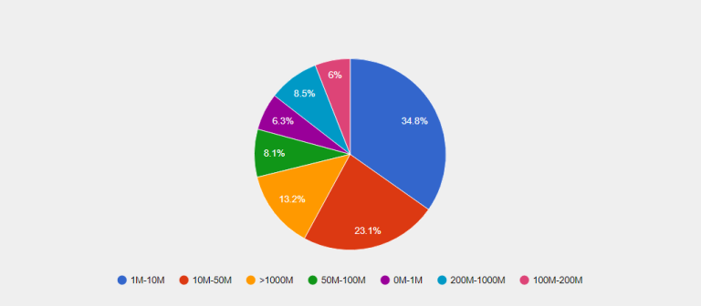 Infor CRM Customers by Revenue