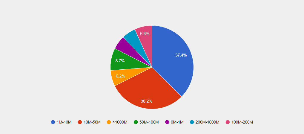 NetSuite ERP Customers by Revenue