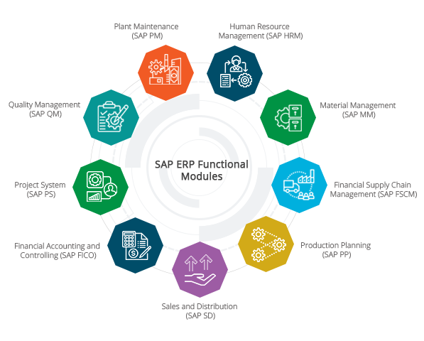 Five Important SAP Software make use in Every Industry - GoodWorkLabs